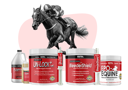 Unlock Peak Performance