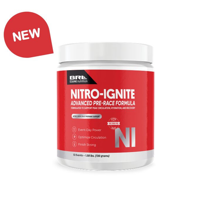 Nitro Ignite