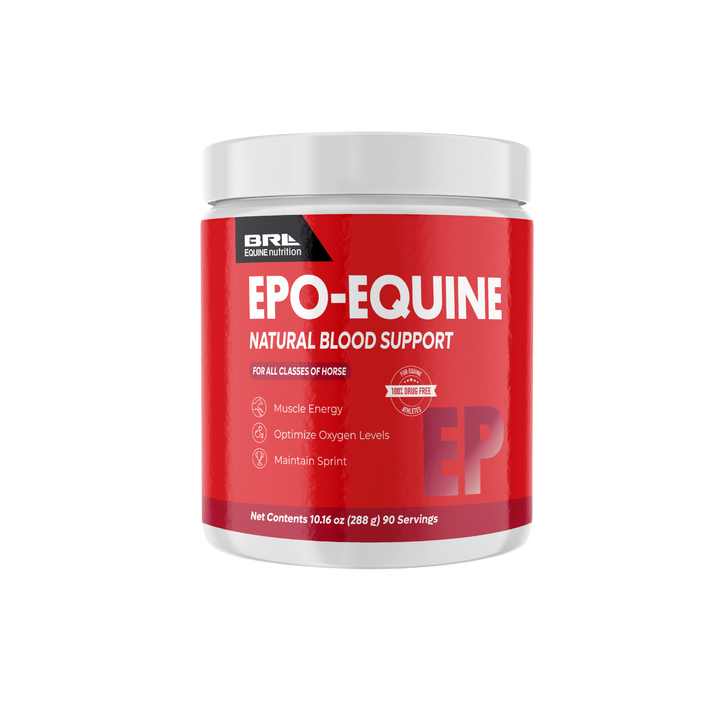 Race-Ready Starter Bundle