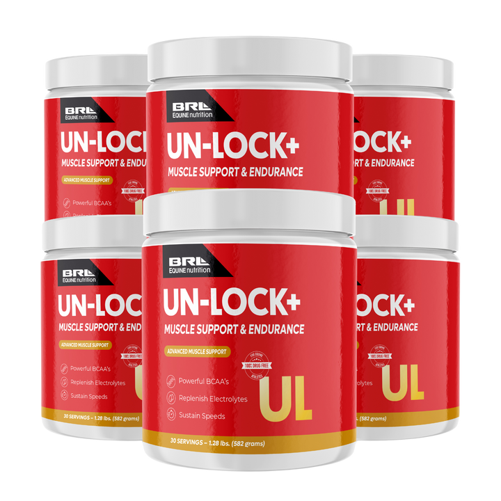 UN-LOCK+